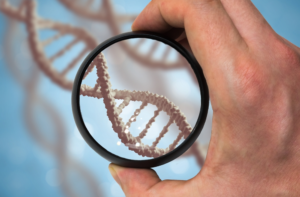 Какие материалы необходимы для теста ДНК?